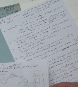 La création d’un livre jeunesse Sylvain et Sylvette. 